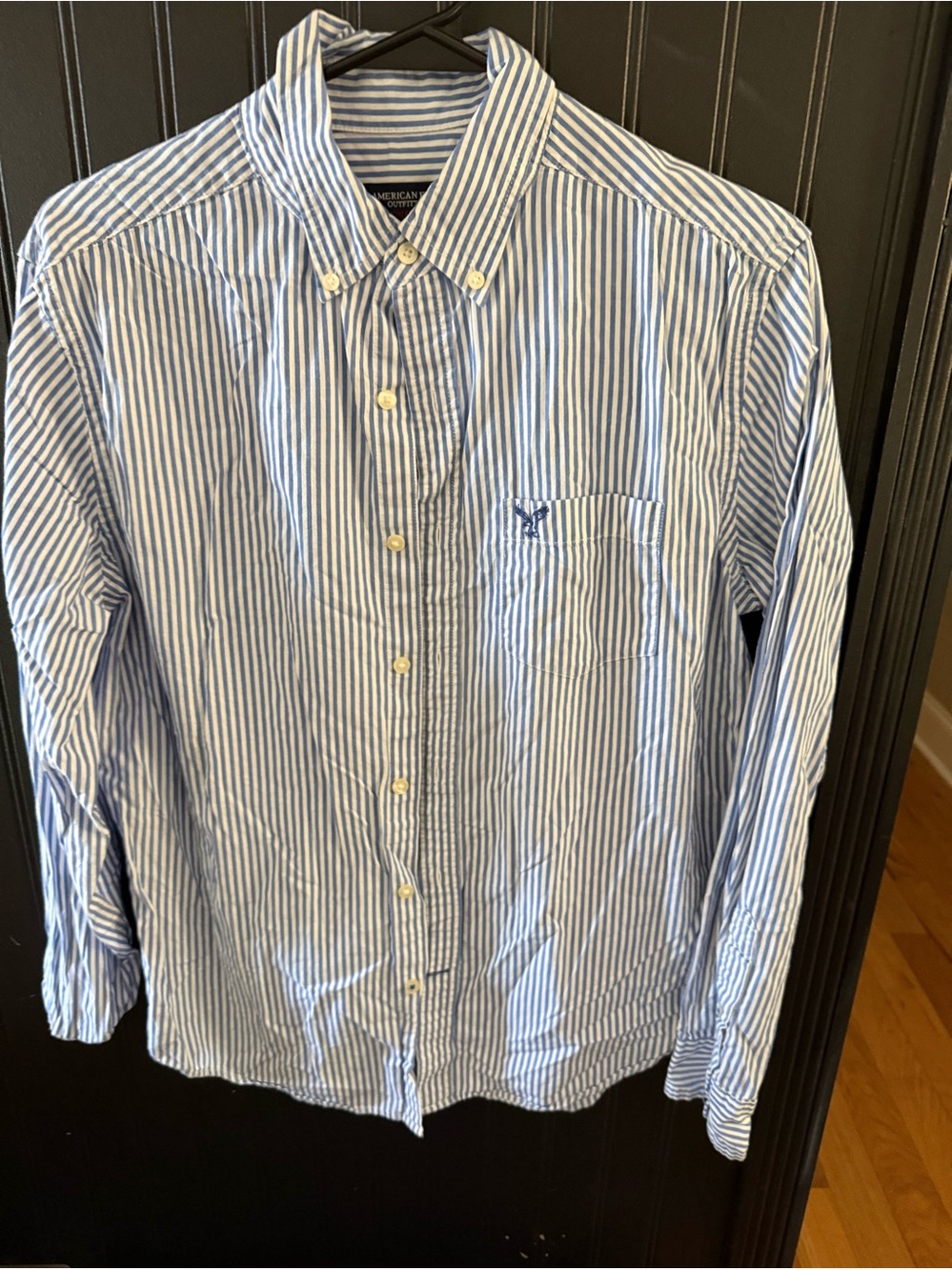 American Eagle Outfitters Blue and White Vertical Stripe Button-Down Shirt
